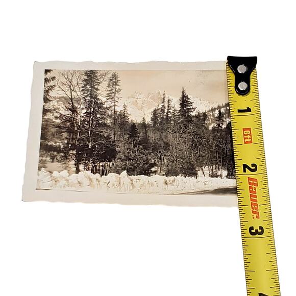 Vtg B&W Photo Found 1940 Canada Trees Nature Mountain Rocks Scenery Snapshot - Picture 3 of 4